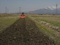 田起こし