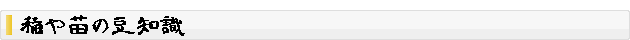 稲の豆知識