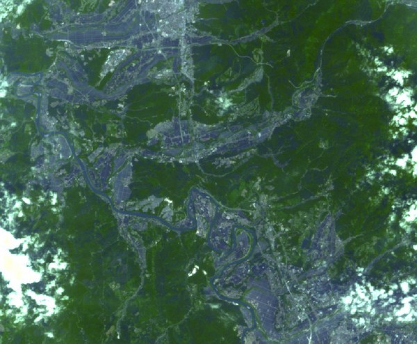 衛星写真で観察する舟形町の稲の生育状況